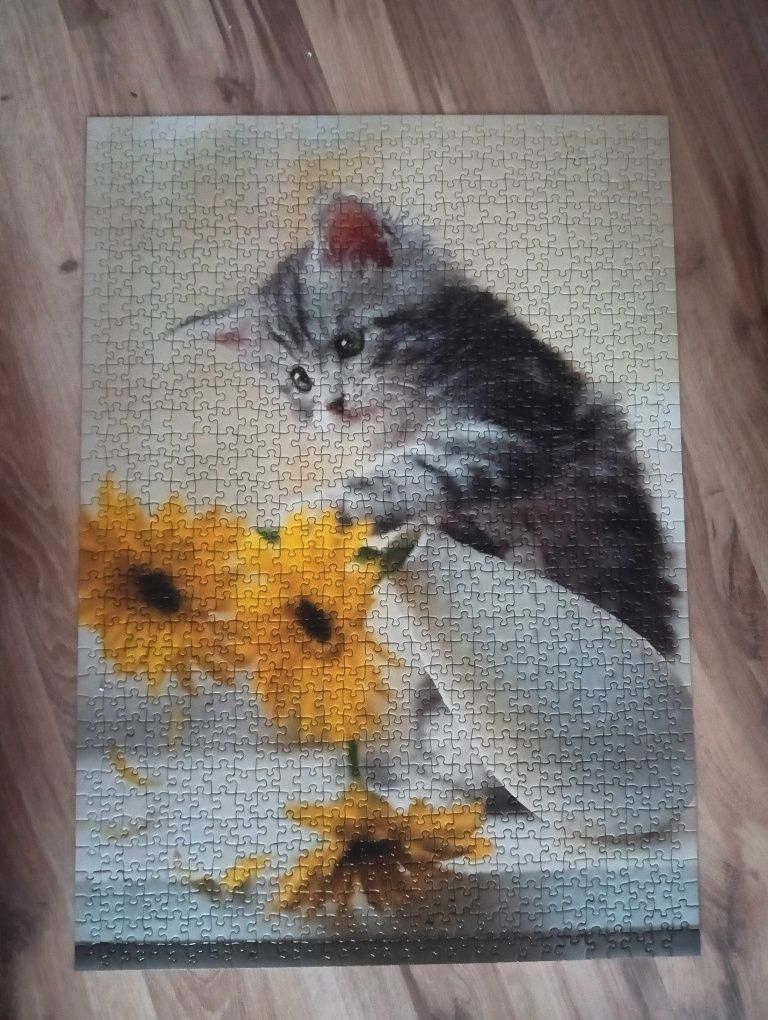 Puzzle koty 1000×2