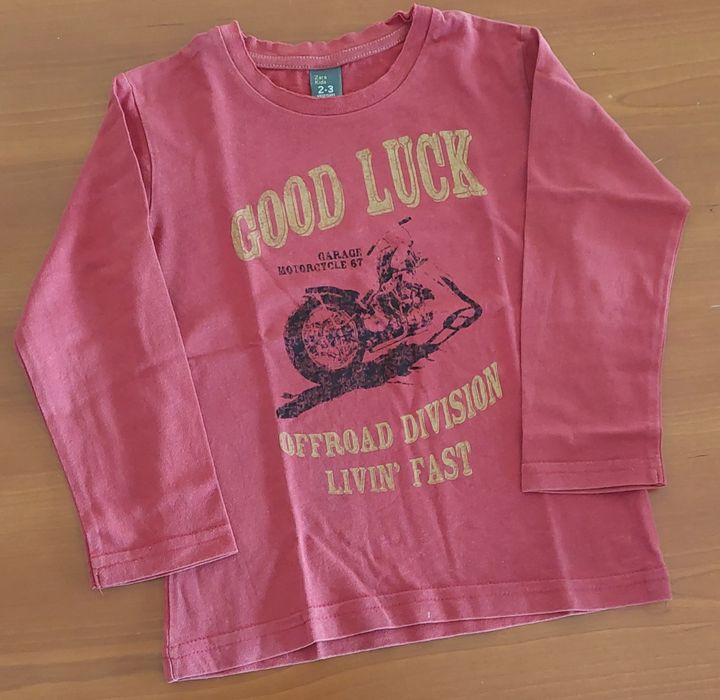 Camisola de manga comprida, rapaz 2/3 anos - ZARA