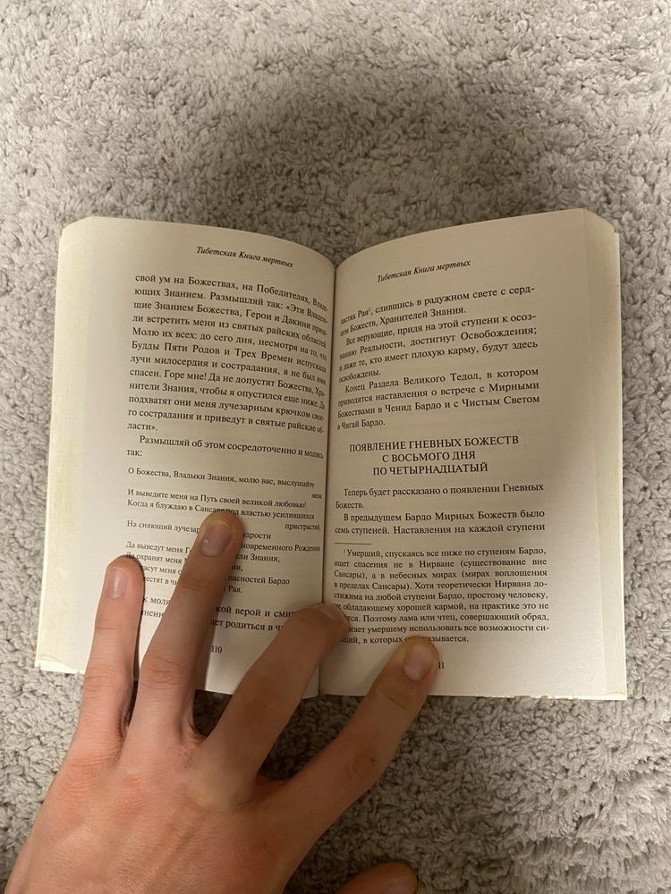 Тибетская книга мертвых