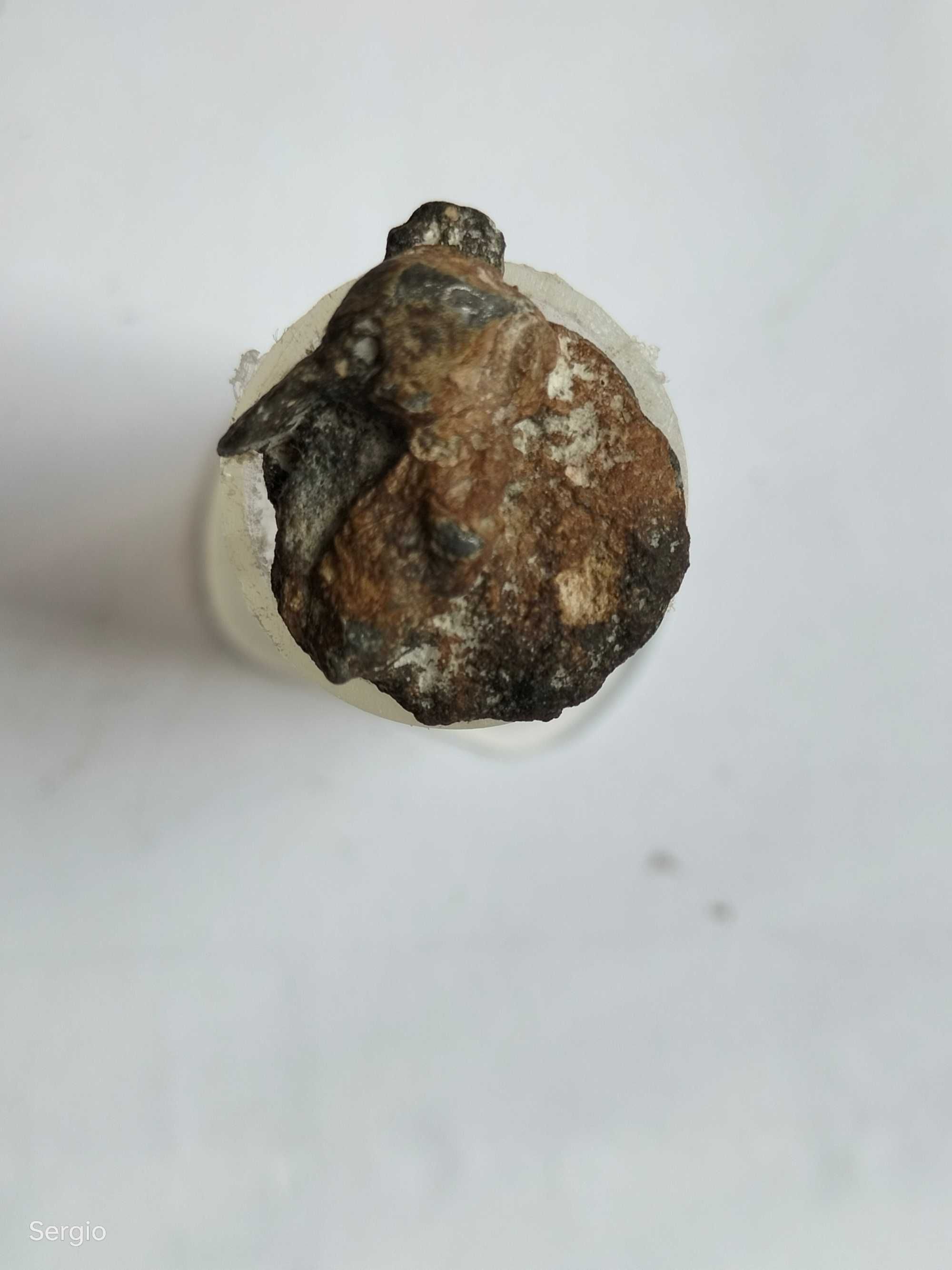 Selos (chumbo)  Лот 248