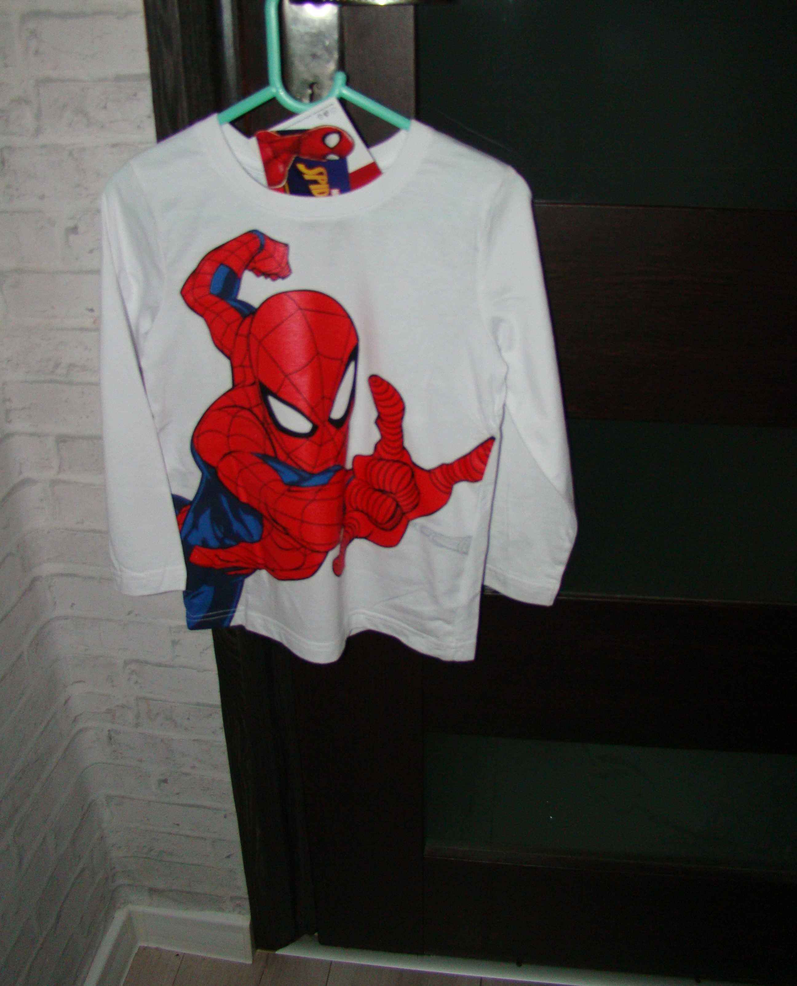 Spiderman bluza dla chłopca roz 116