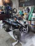 Moto 4 (250cc) Shineray