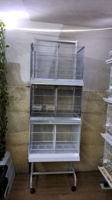 Vendo várias Gaiolas