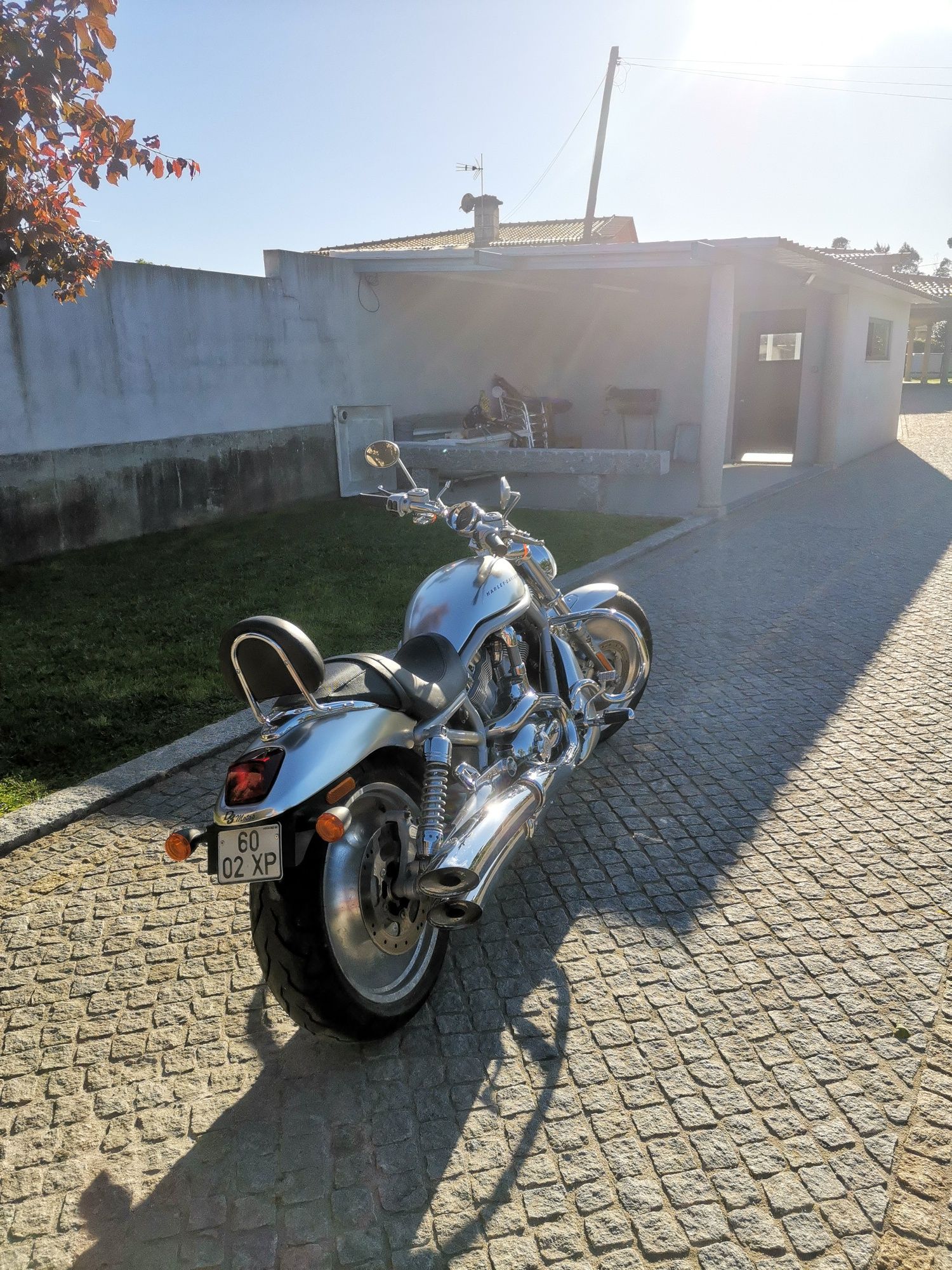 Harley davidson v-rod