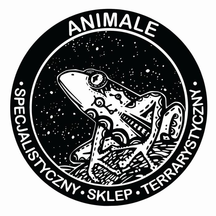 Skoczogonki, ekipa sprzątająca do terrarium - sklep Animale