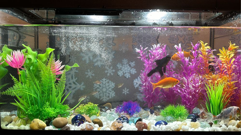 Vendo aquario completo 30 litros