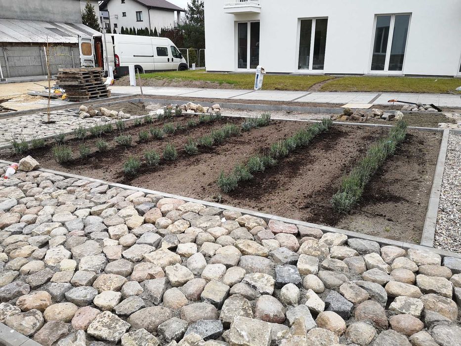 Drzewa, sadzenie drzew, nasadzenia zastępcze, klon, dąb, lipa, wiśnia