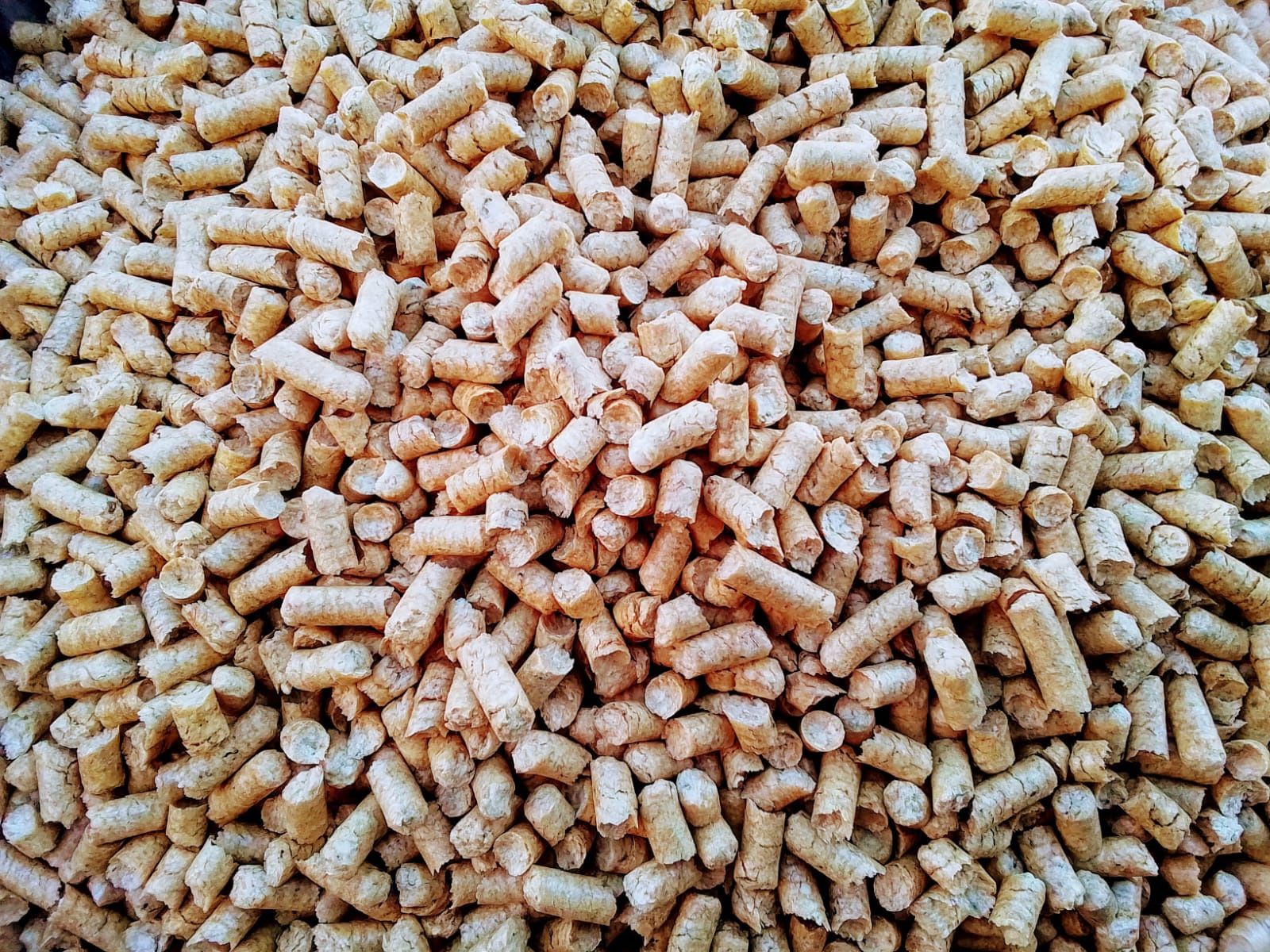 Pellet sosnowy 6mm BEZ KORY, Z CZYSTEJ TROCINY