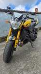 Yamaha FZ8 - 2012