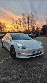 Tesla Model 3 2019  350 км запас ходу