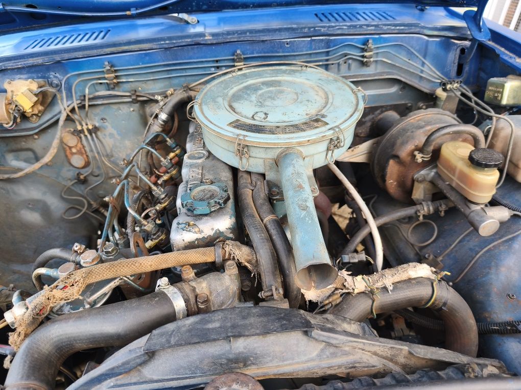 Datsun resistente nunca tem fim