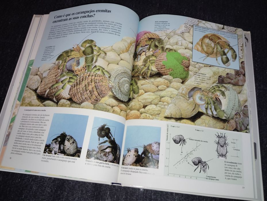 Livro O Comportamento dos Animais Usado