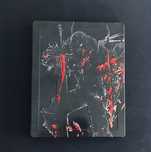 Steelbook Final Fantasy XVI + bonus