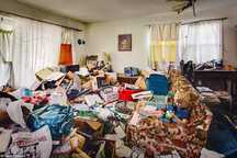 Limpeza e Demolições de Quintais/Garagens e Casas!