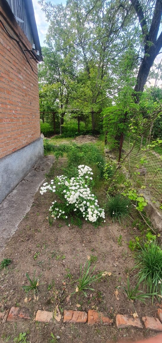 Продам Дачу р-н колхоз- грензавод