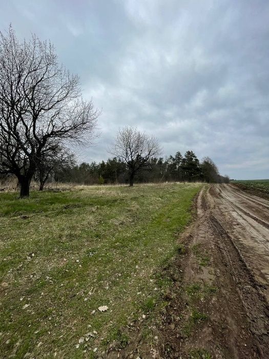 Земельна ділянка, гектар Підгірці, Рівненський район. 4500.