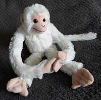 Maskotka małpa biała małpka szympans