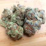 Northern Lights - susz thc cbd, Aafgani x Thai buch