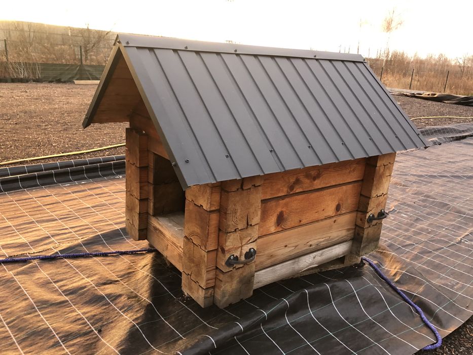 Буда будинок доя Собаки з Бруса!