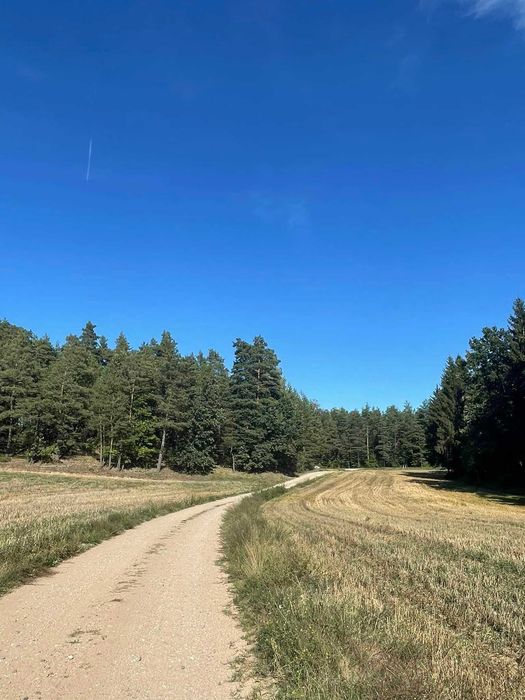 Domek całoroczny w Łumbiach, ogrodzony, blisko lasu