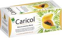 Suplement diety 100% Natural Caricol 20 saszetek jelita trawienie