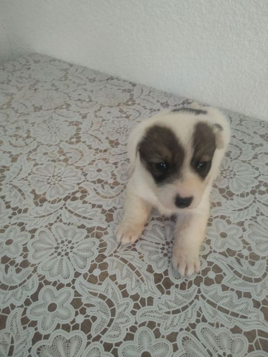 Хлопчик безкоштовно