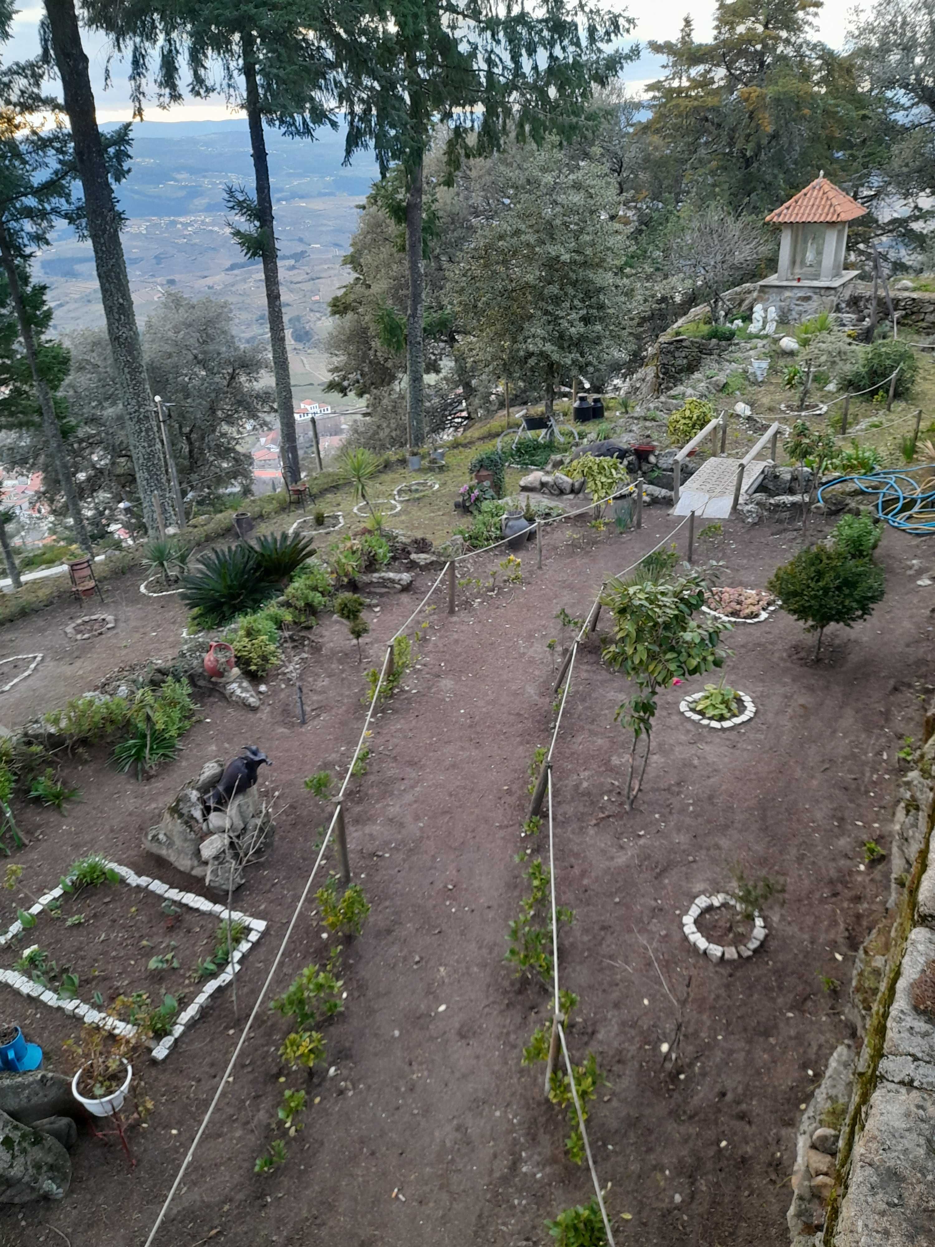 Serviços de Jardinagem