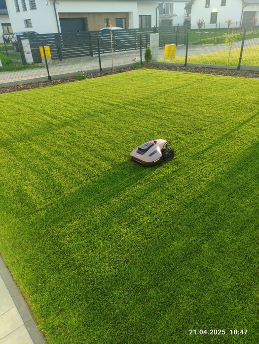 Zakładanie trawników, nawodnienia, usługi glebogryzarką separacyjną