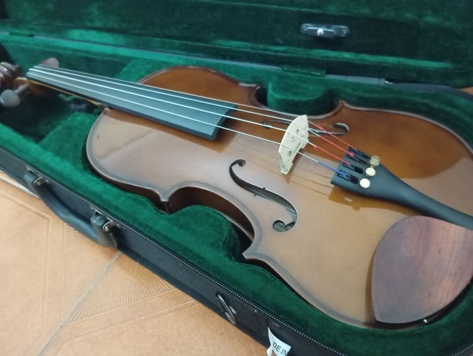 Violino 4/4 cremona