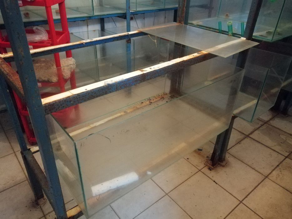 Do sprzedania Akwaria szkło techniczne grube od 0.5cm