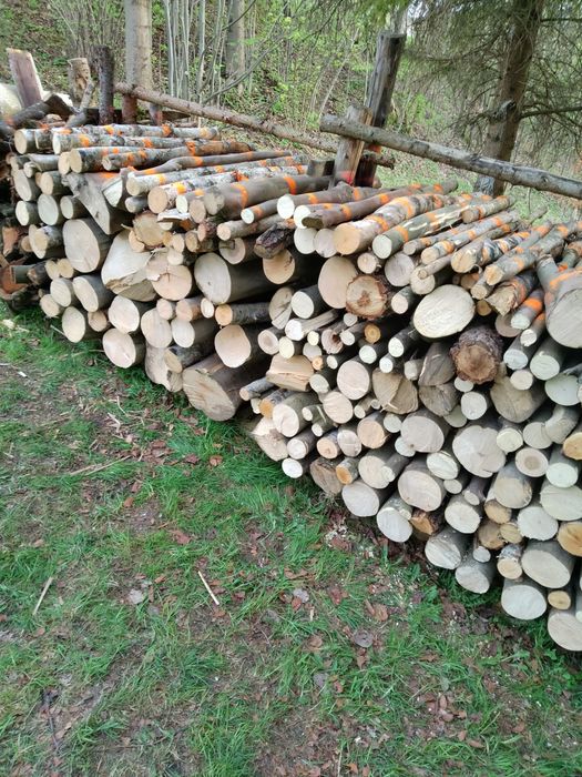 Drewno opałowe twarde i miękkie