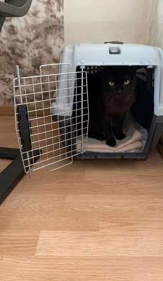 Транспортировочный бокс переноска клетка для собак кошек №1,2,3,4,5,67