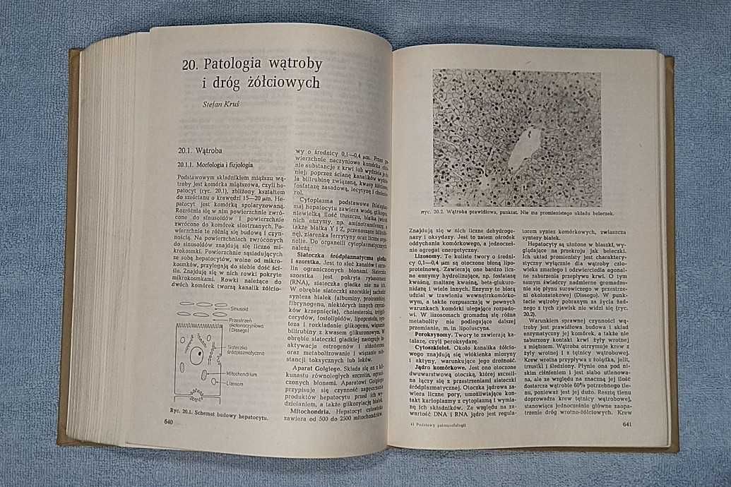 Podstawy patomorfologii podręcznik dla studentów medycyny