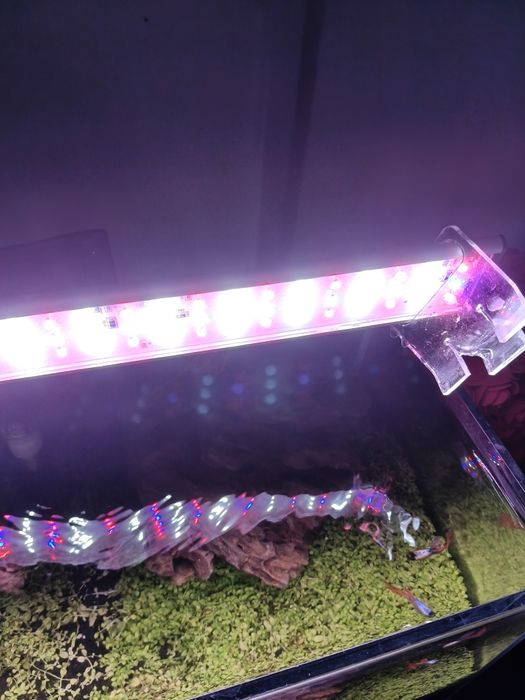 Sprzedam małe akwarium 25l filtr,rosliny Sinkor Led WiFi