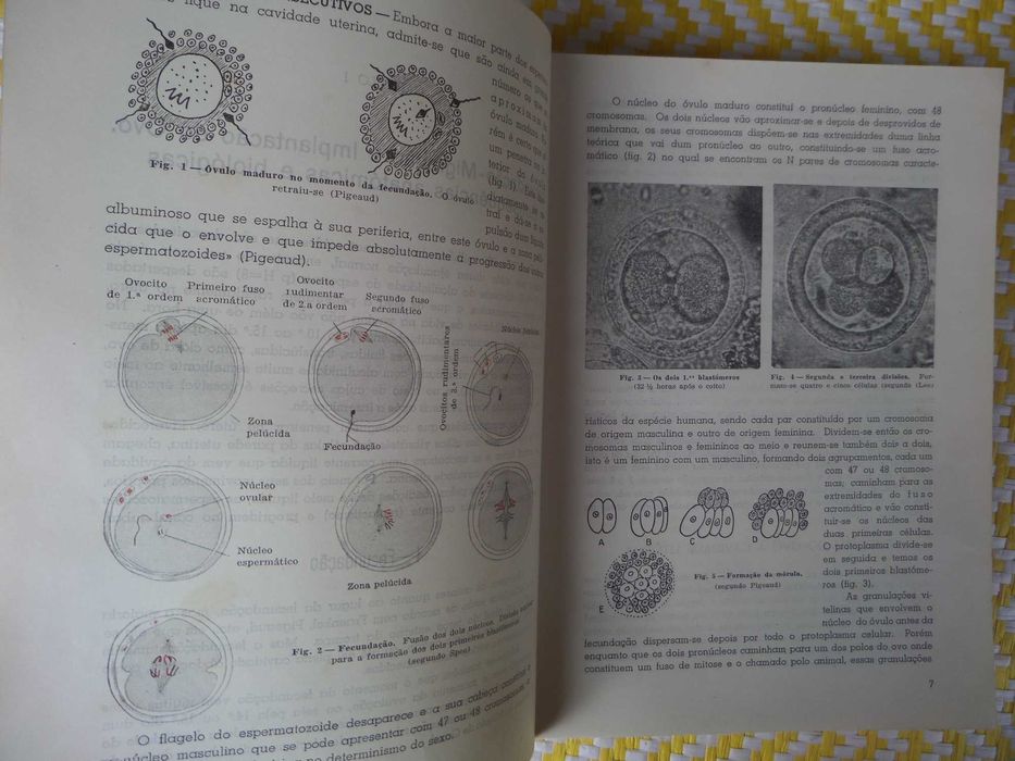 NOÇÕES DE OBSTETRÍCIA 
Aureliano Dias Gonçalves
