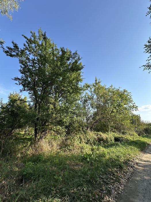 Продаю земельну ділянку в Новоукраїнці, масив «Нетканщик»