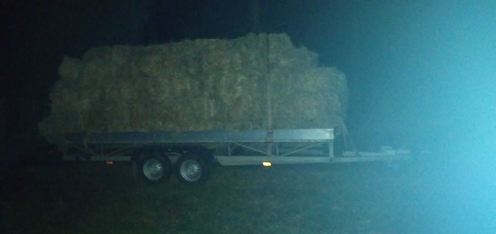 Siano/SŁOMA w kostkach 2025, Z transportem!