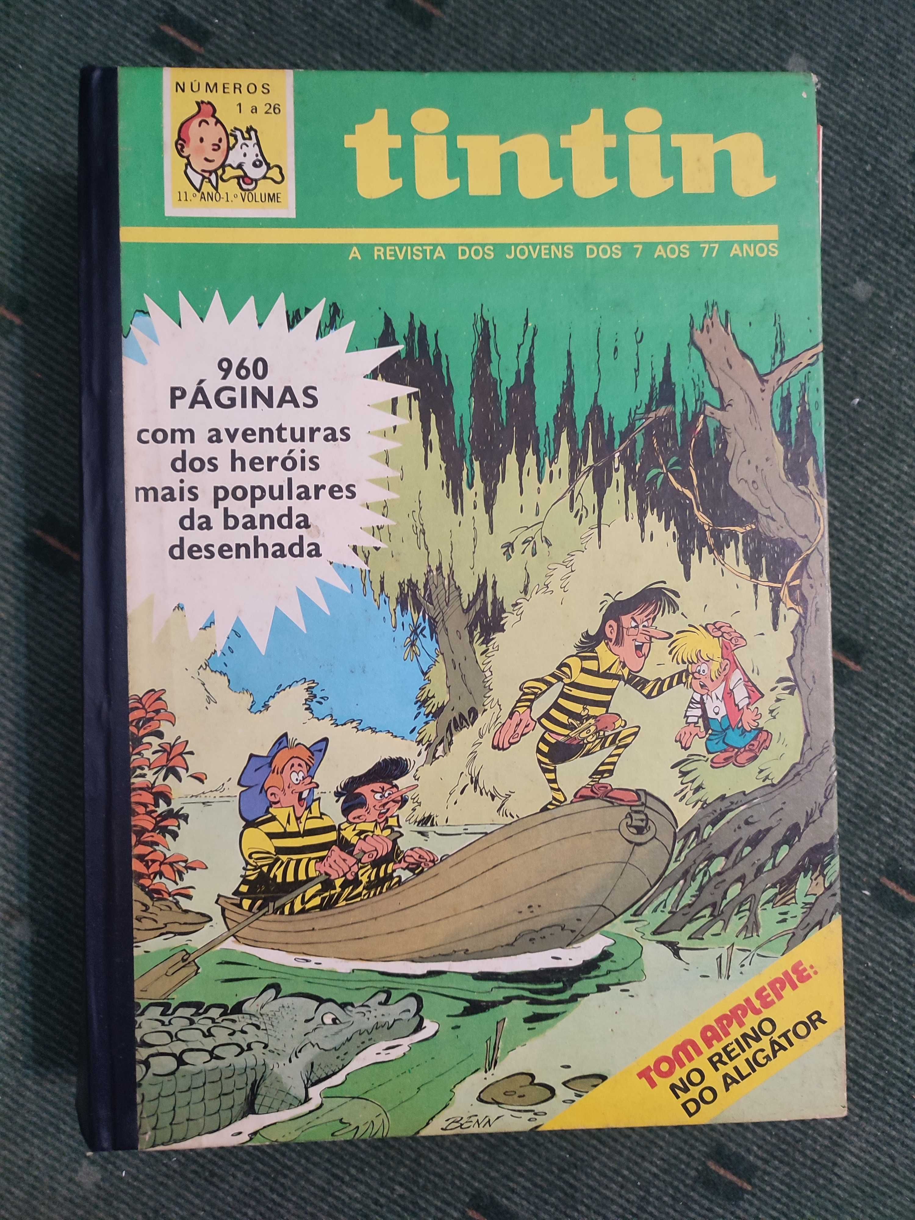 Tintin 11º ano - 1º Volume