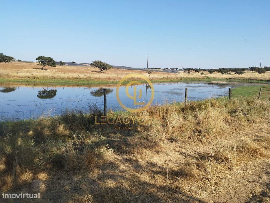 Herdade De 36 Hectares Em Santiago Maior