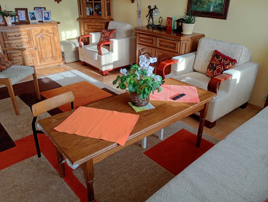 Stare meble w naturalnej okleinie dębowej - wyposażenie salonu