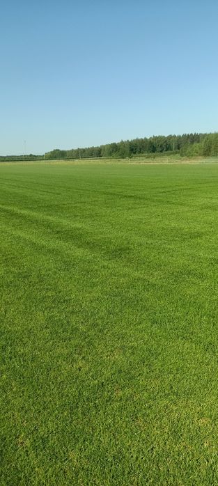 Trawa z rolki,trawnik z rolki