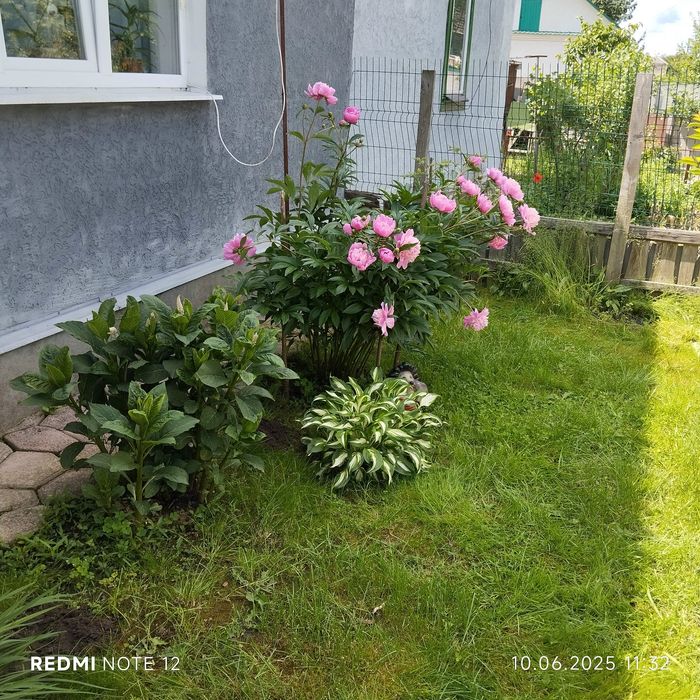 Продам полдома в Коростене.