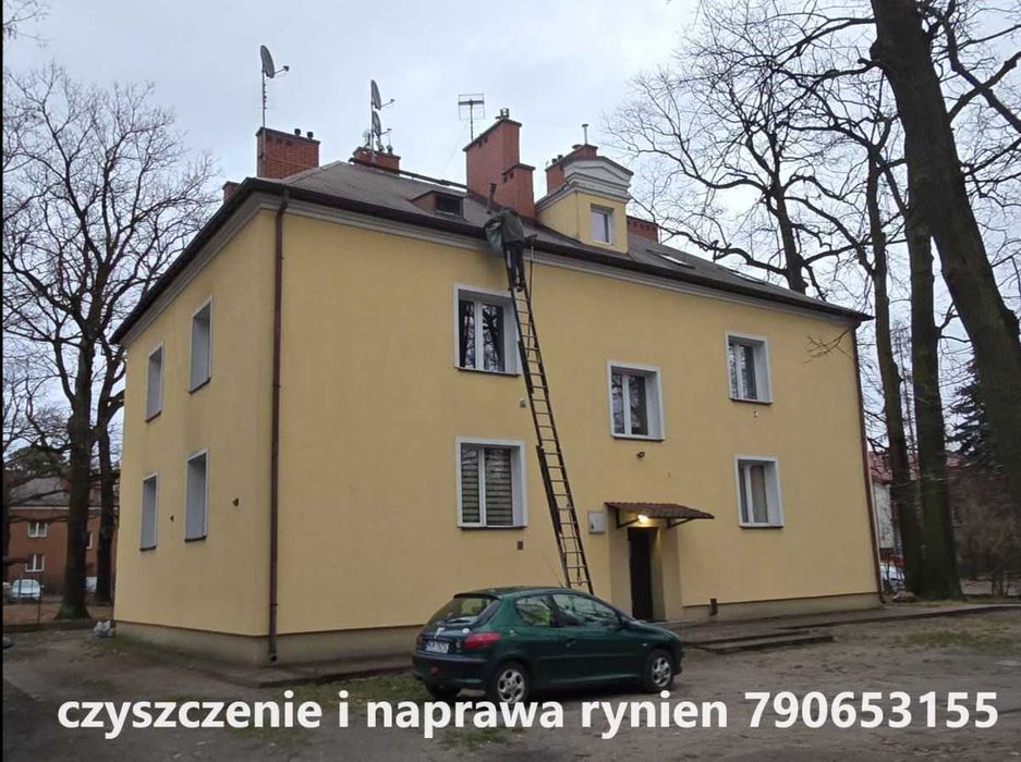 wycinka drzew z podnośnika sekcyjnie Mycie Dachów rynien elewacji