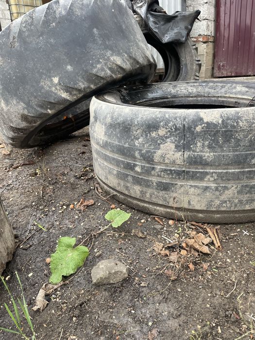 Шини для сільгосптехніки