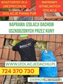 Naprawa izolacji dachów, kuny Docieplanie Pianką PUR I Celulozą