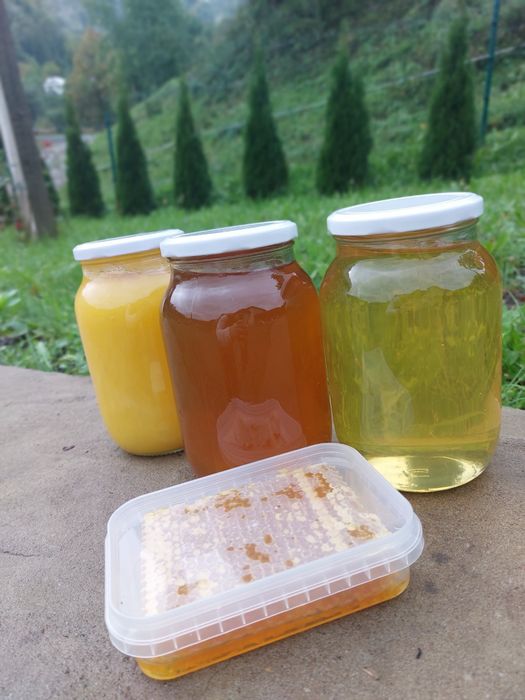 Хороший, натуральний мед лісовий квітковий Різнотрав'я