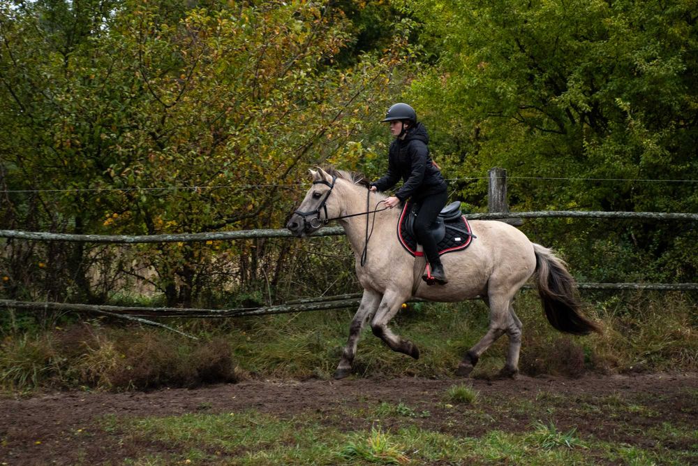Super kucyk do rekreacji
