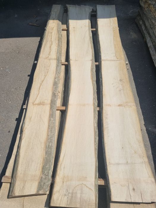 Дошка Граб 50мм суха 8% столярна