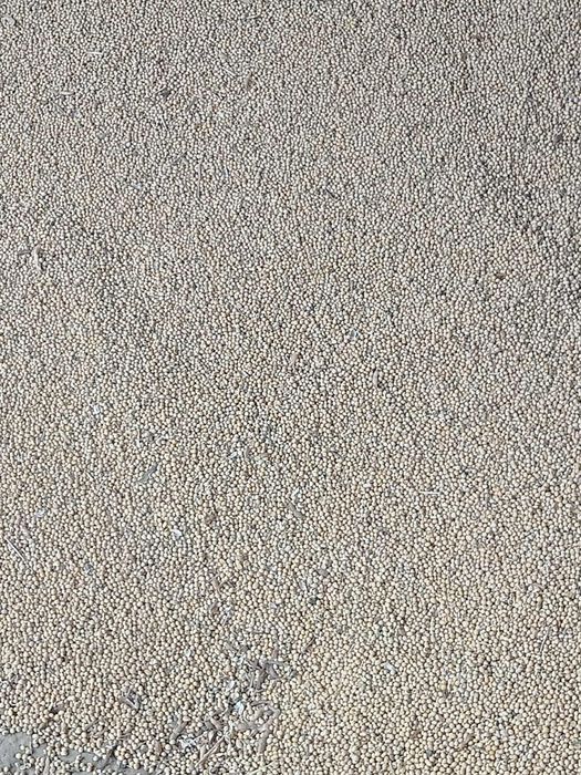 Соя з власного поля