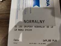 bilet  normalny do energylandii